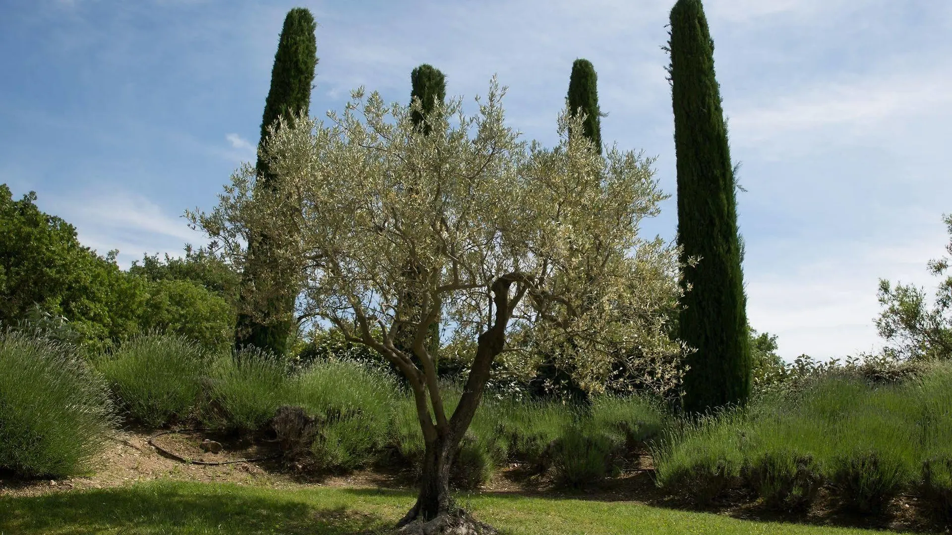Hotel Mas De La Senancole à Gordes